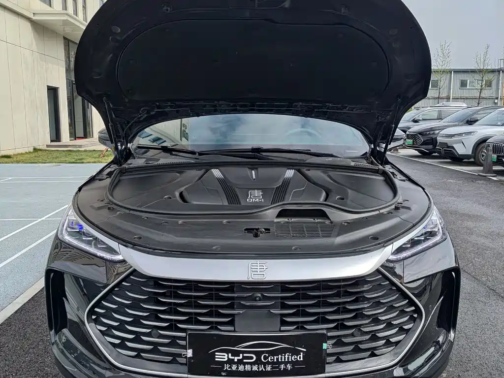 BYD Tang 2024