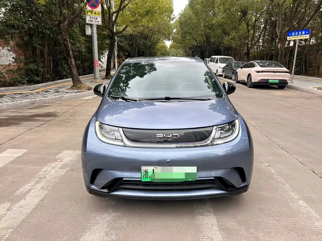 BYD Dolphin 2025