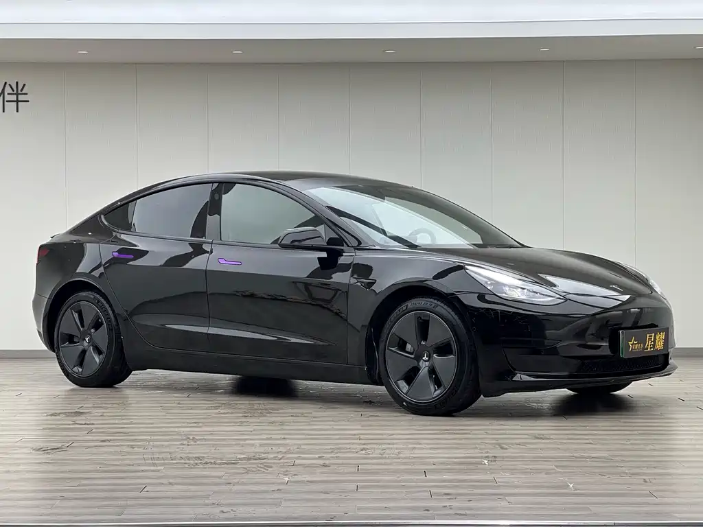 Tesla Model 3 2021