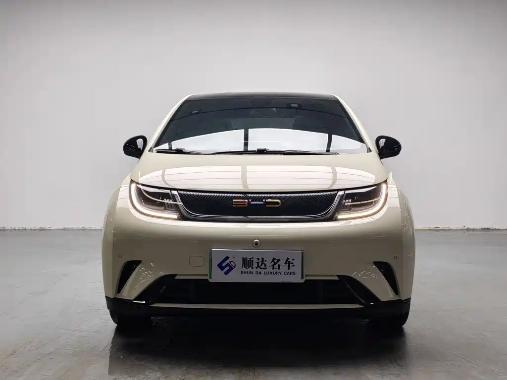 BYD Dolphin 2023
