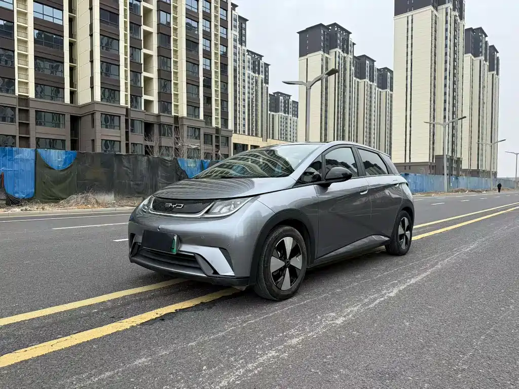 BYD Dolphin 2024