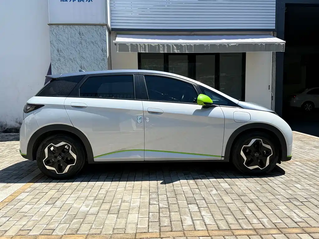 BYD Dolphin 2021