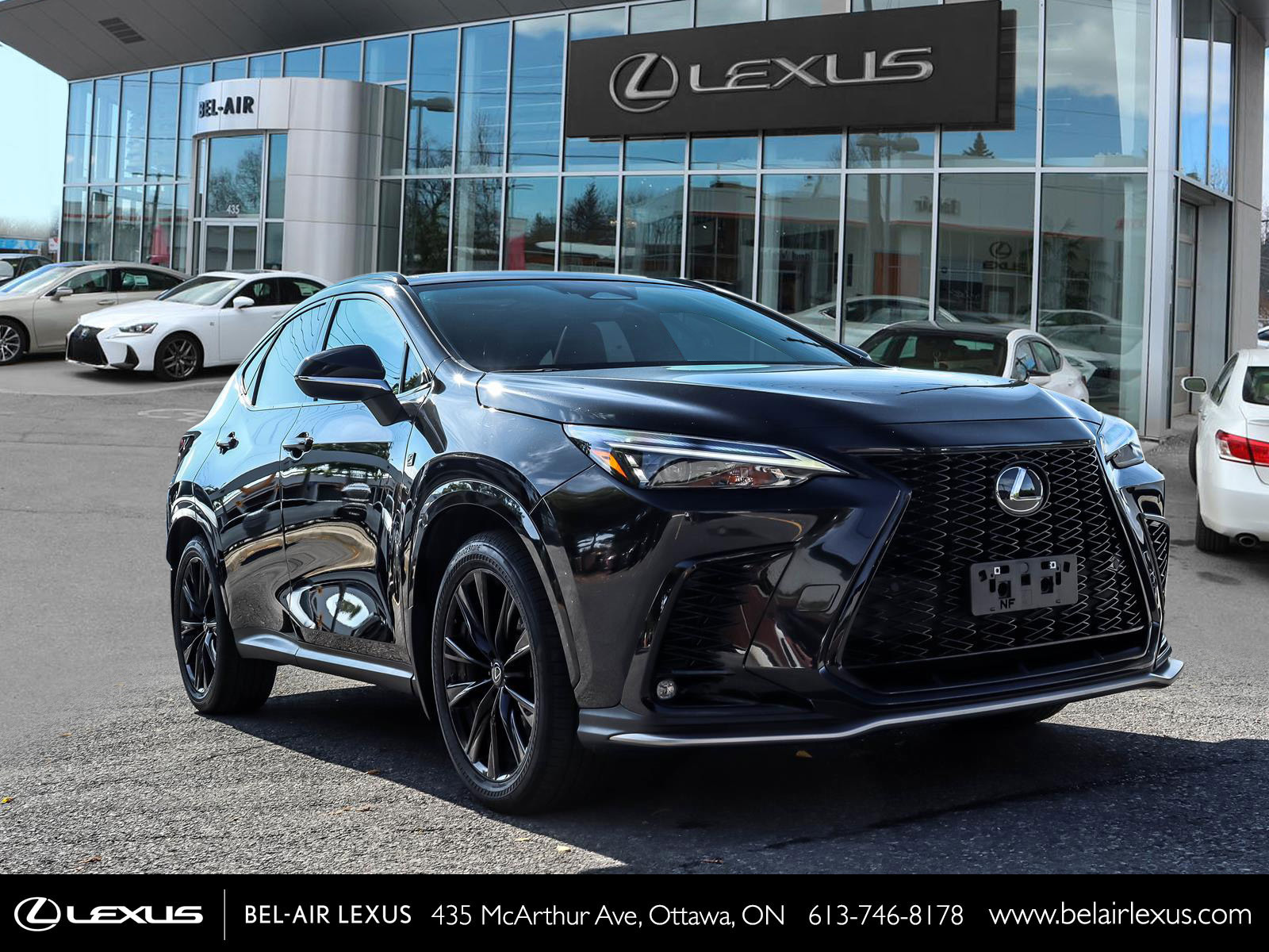 Lexus NX 350 2024