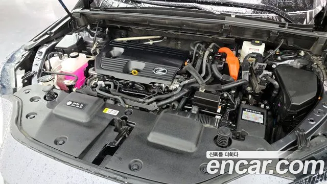 Lexus NX 2023