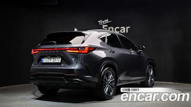 Lexus NX 2023