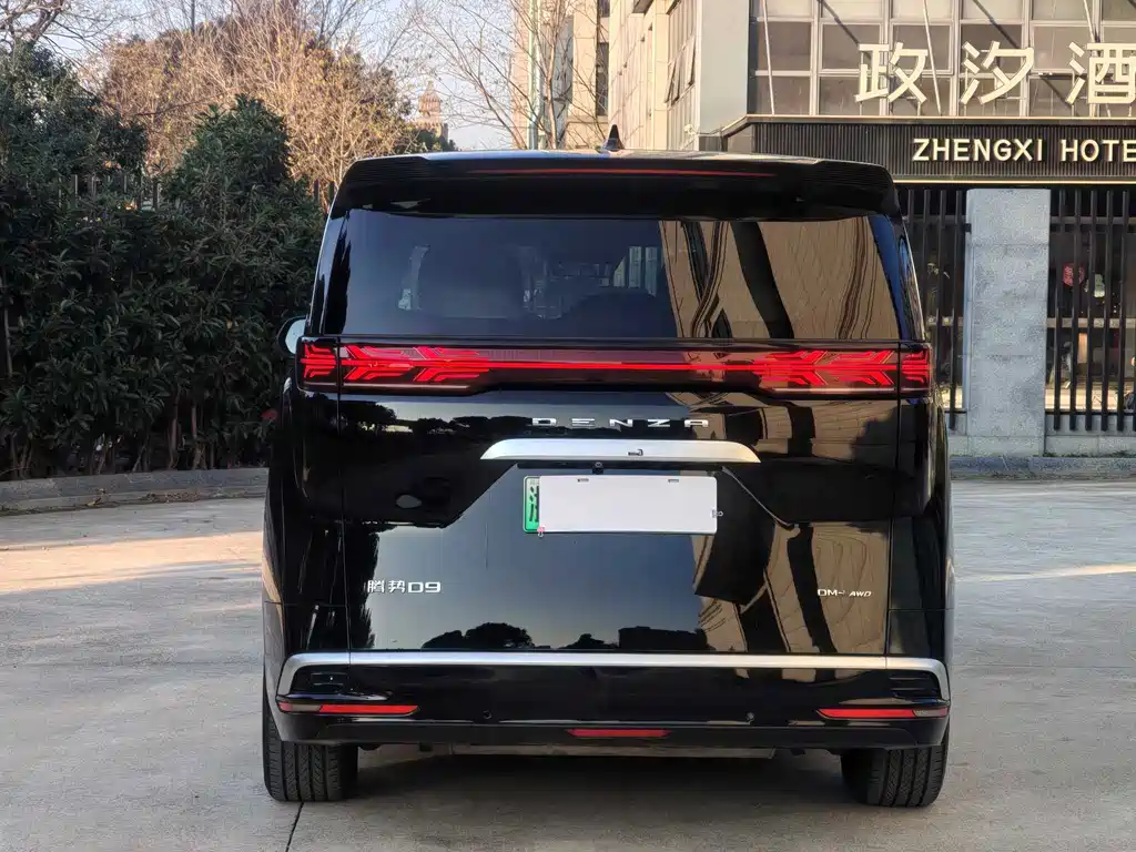 Denza D9 2024