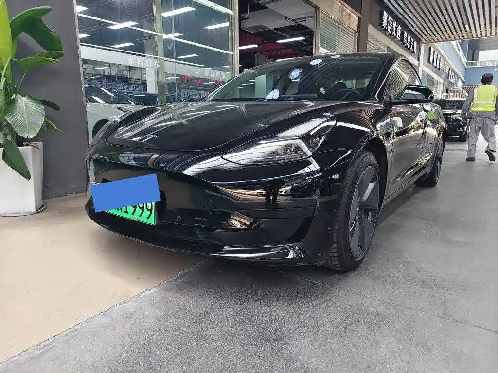 Tesla Model 3 2022
