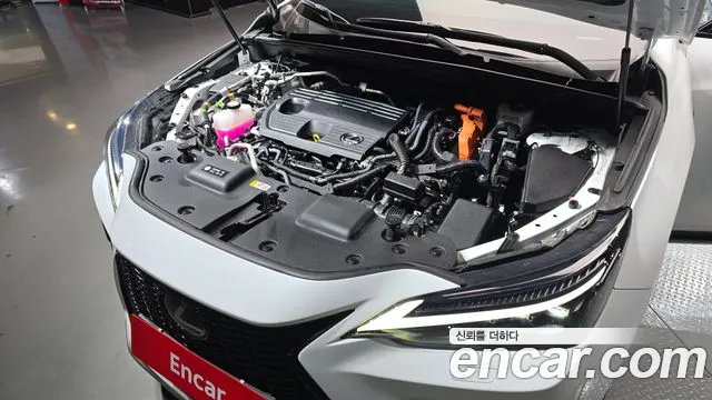 Lexus NX 2022