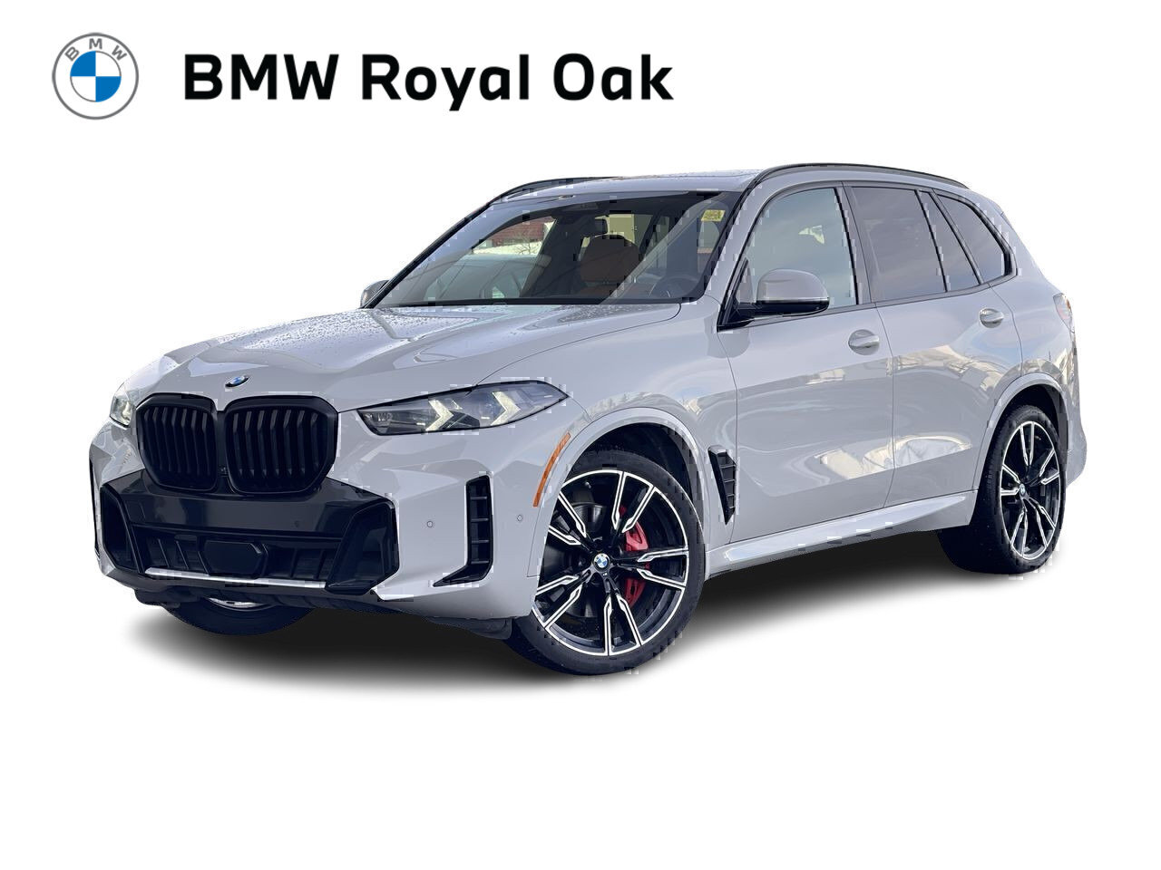 BMW X5 2024
