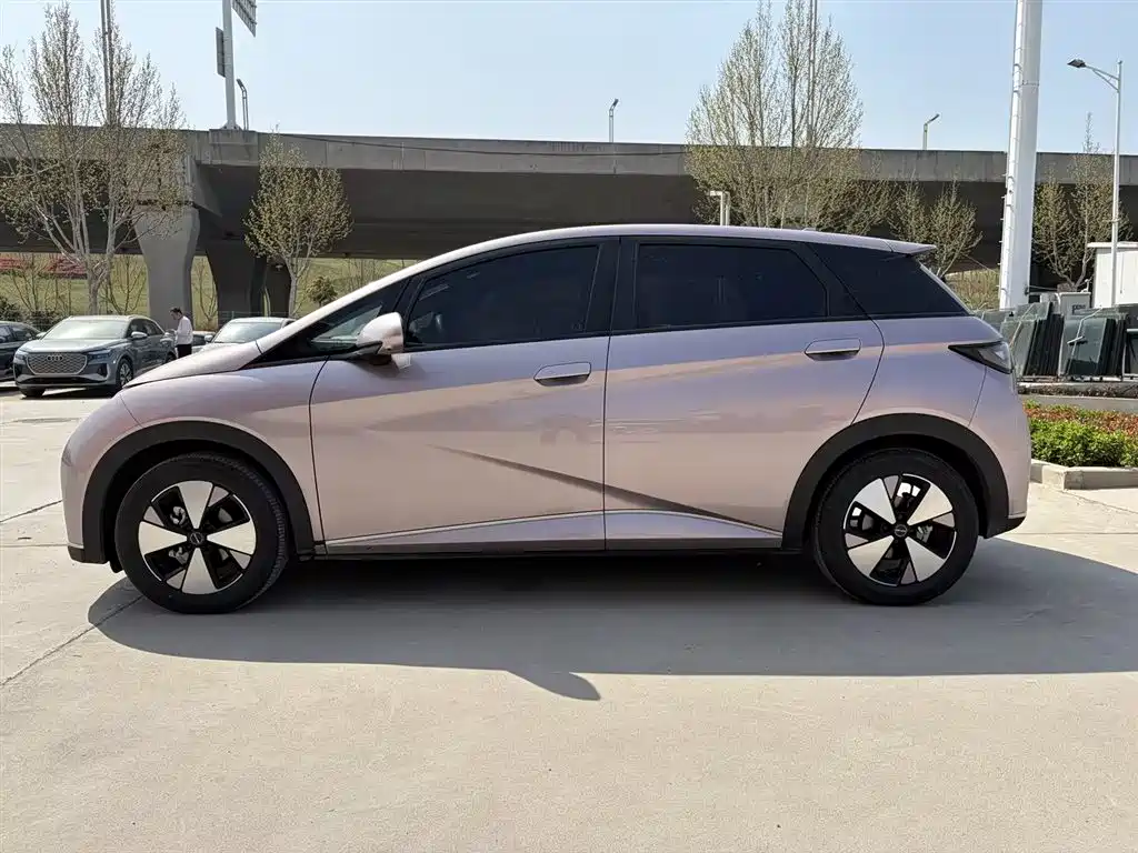 BYD Dolphin 2023