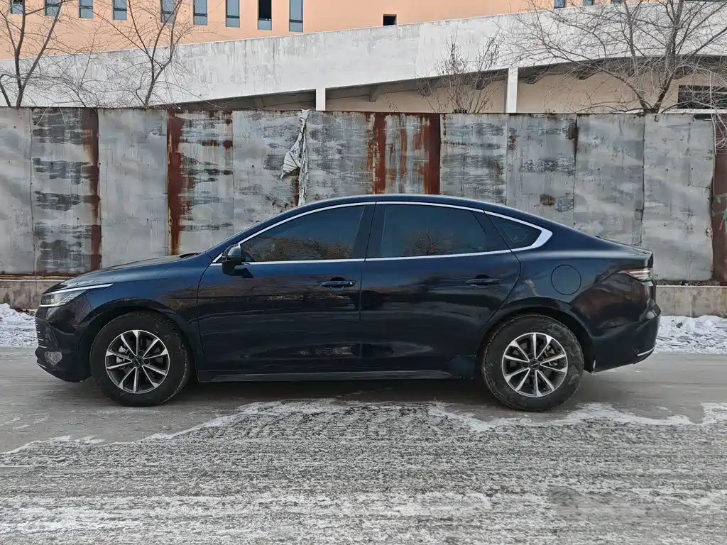 BYD Destroyer 05 2024