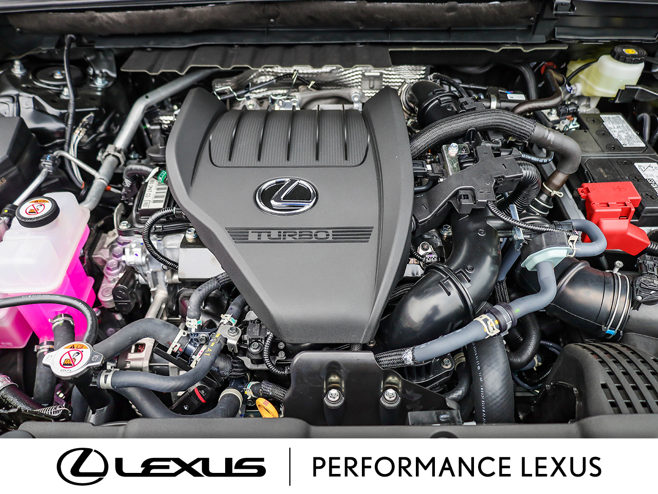 Lexus NX 2025