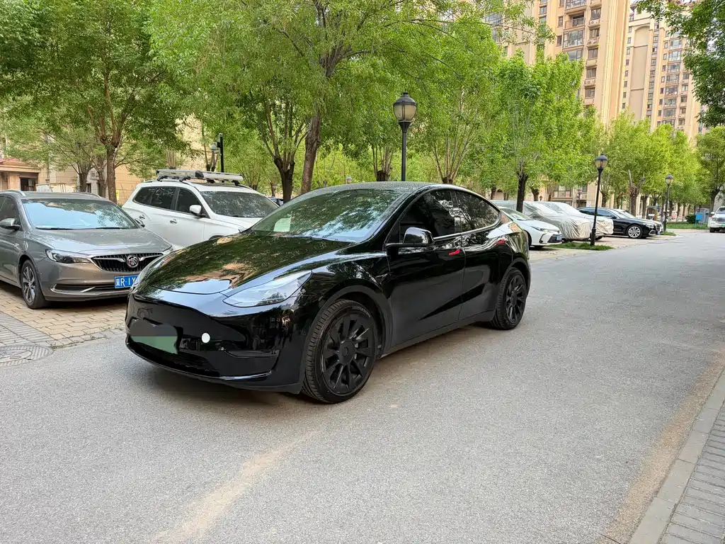 Tesla Model Y 2021