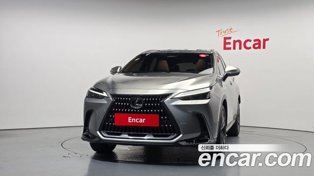 Lexus NX 2024