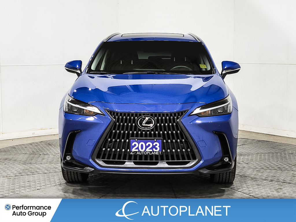Lexus NX 350 2023