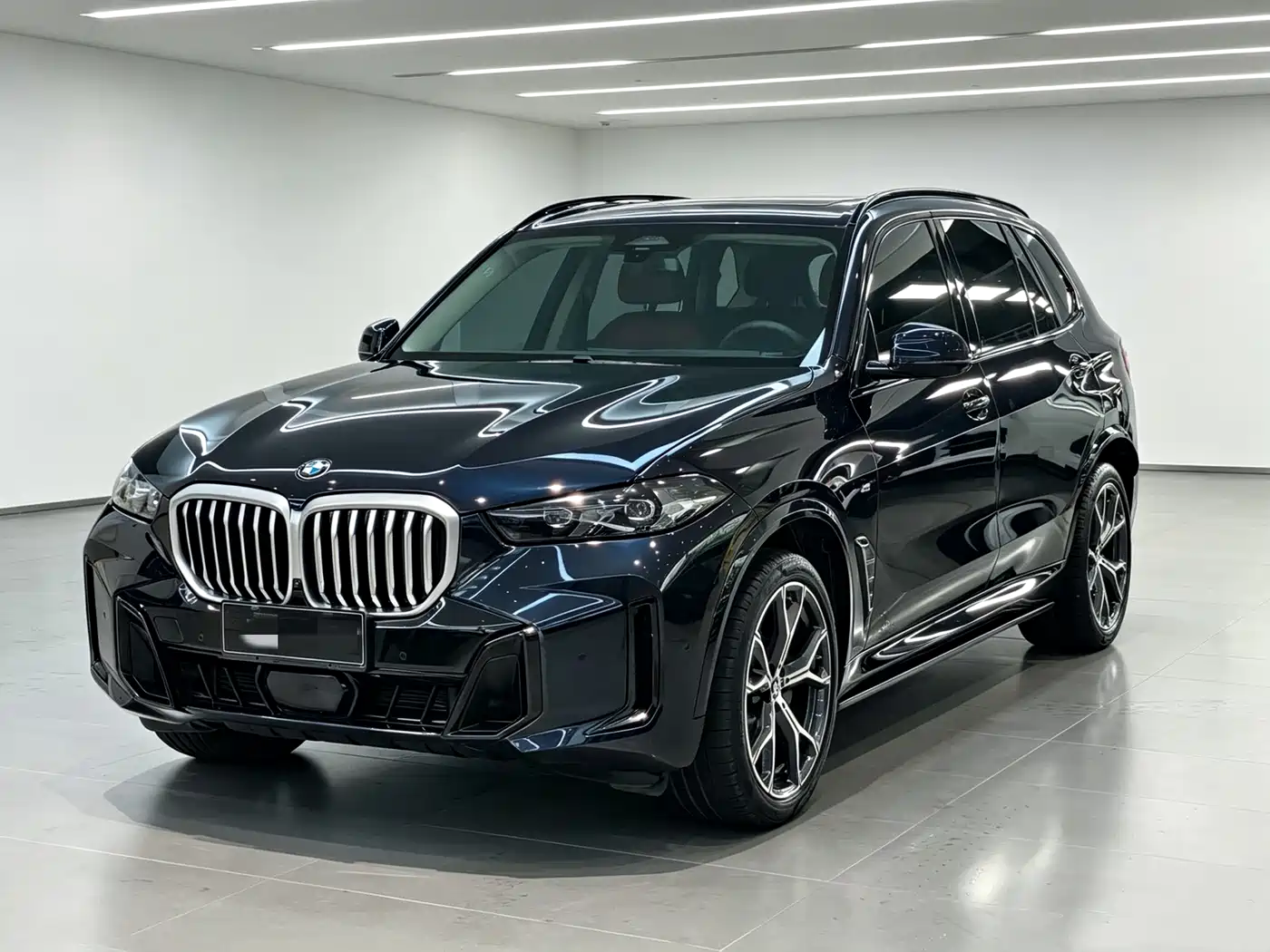 BMW X5 2024
