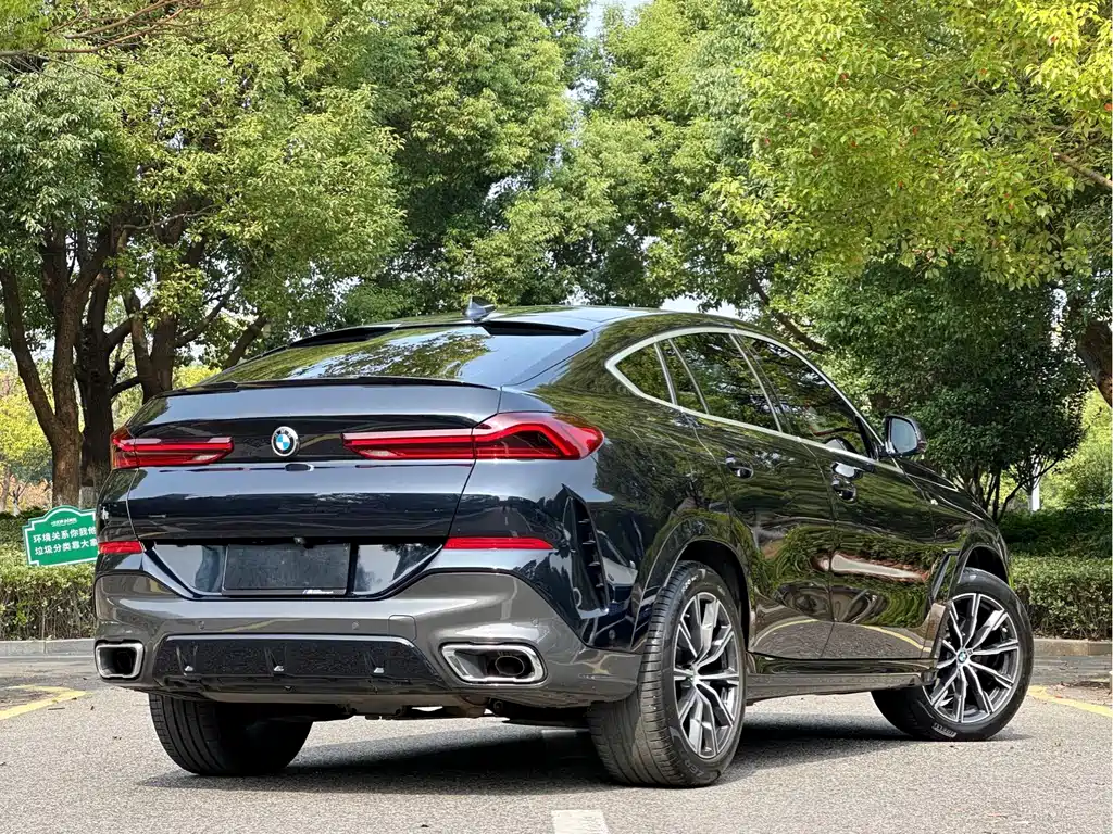BMW X6 2021