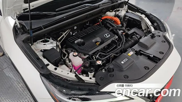 Lexus NX 2024