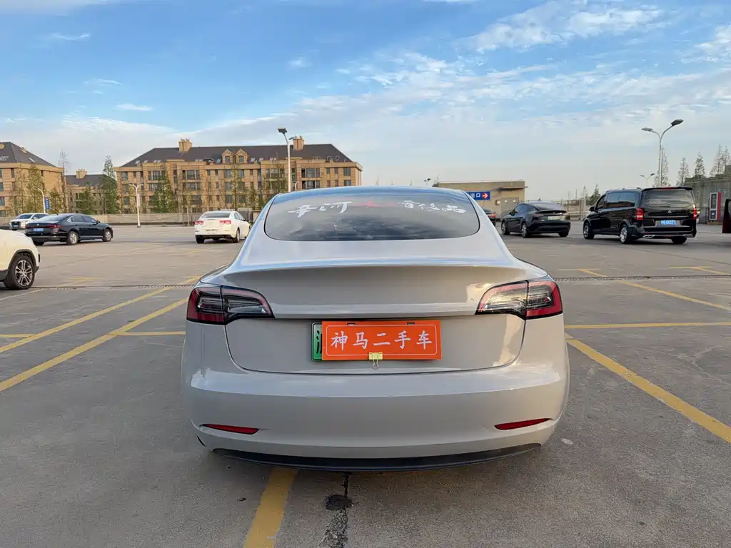 Tesla Model 3 2021