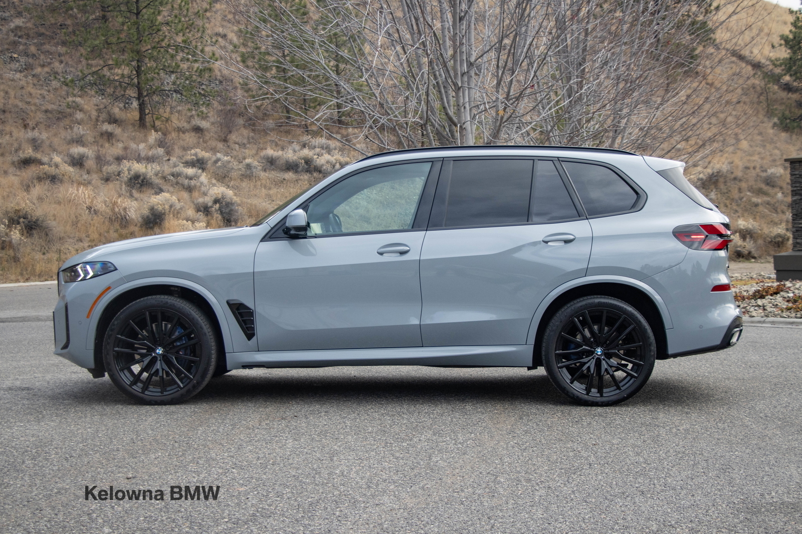 BMW X5 2025