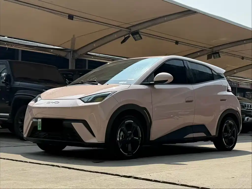 BYD Seagull 2024