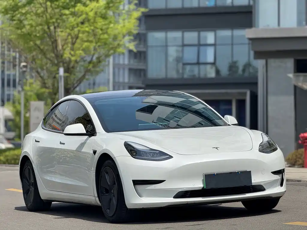 Tesla Model 3 2021