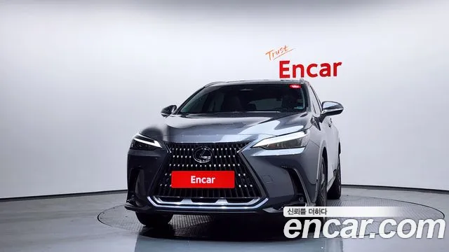 Lexus NX 2024
