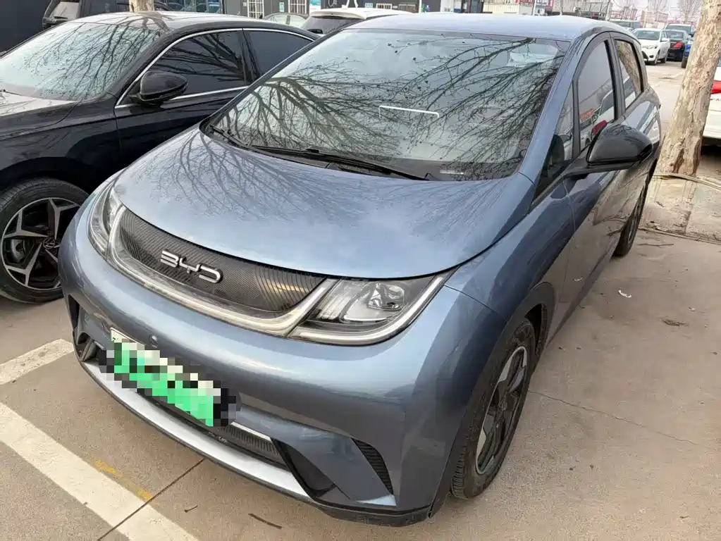 BYD Dolphin 2024