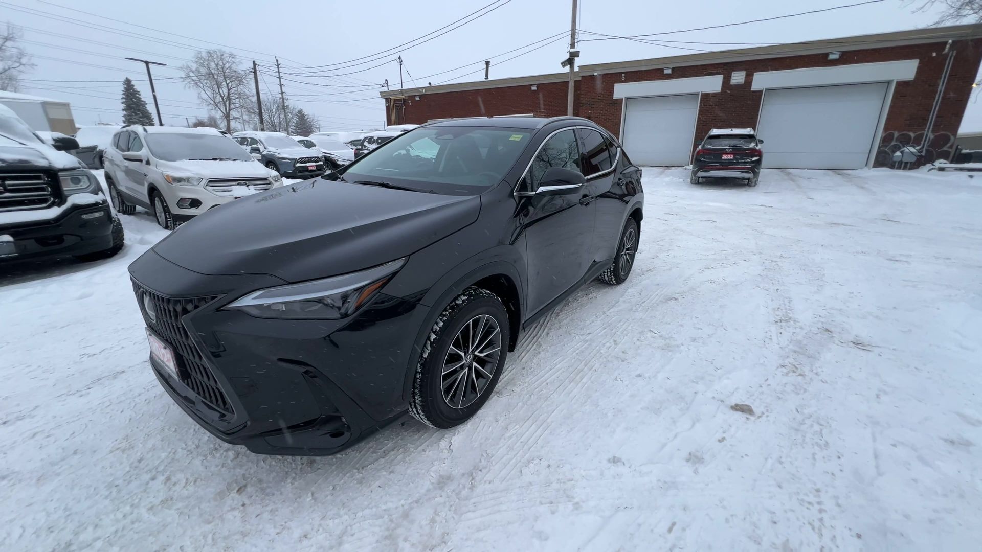 Lexus NX 2022