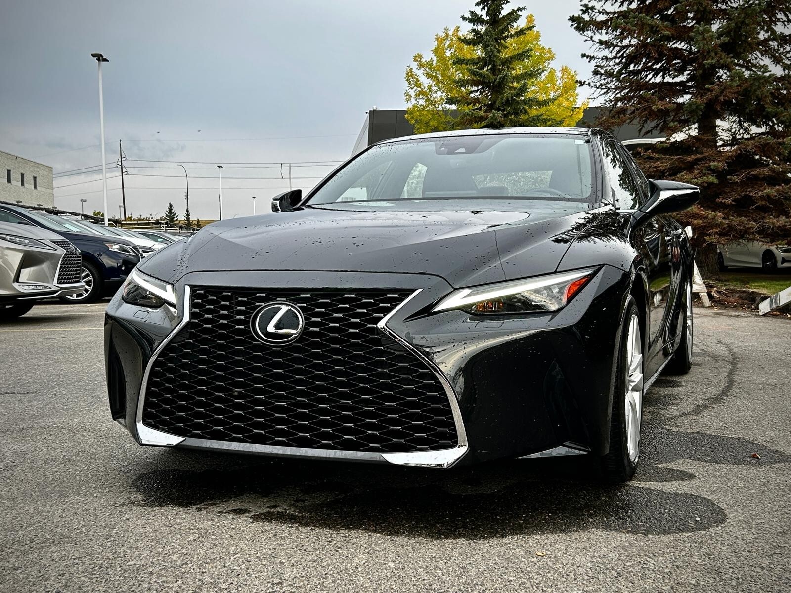 Lexus IS 300 2023