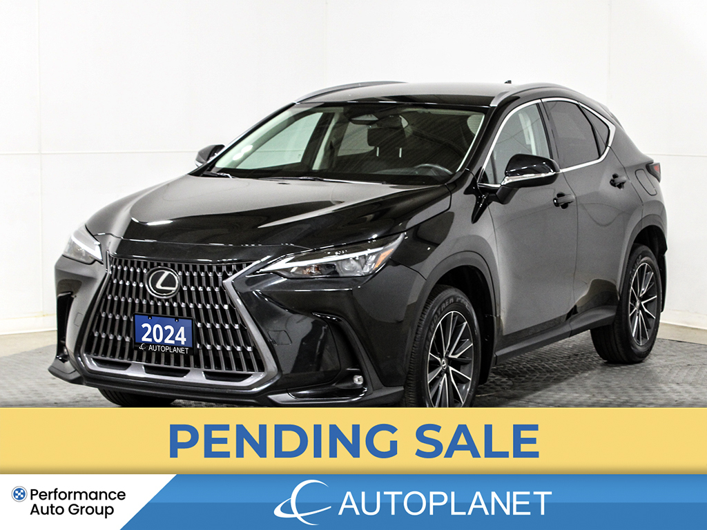 Lexus NX 2024
