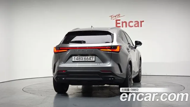 Lexus NX 2023