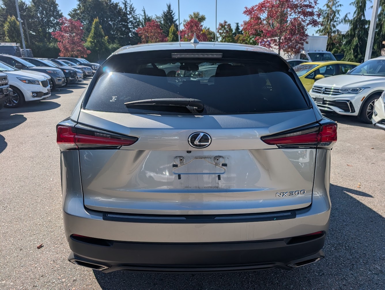 Lexus NX 2020