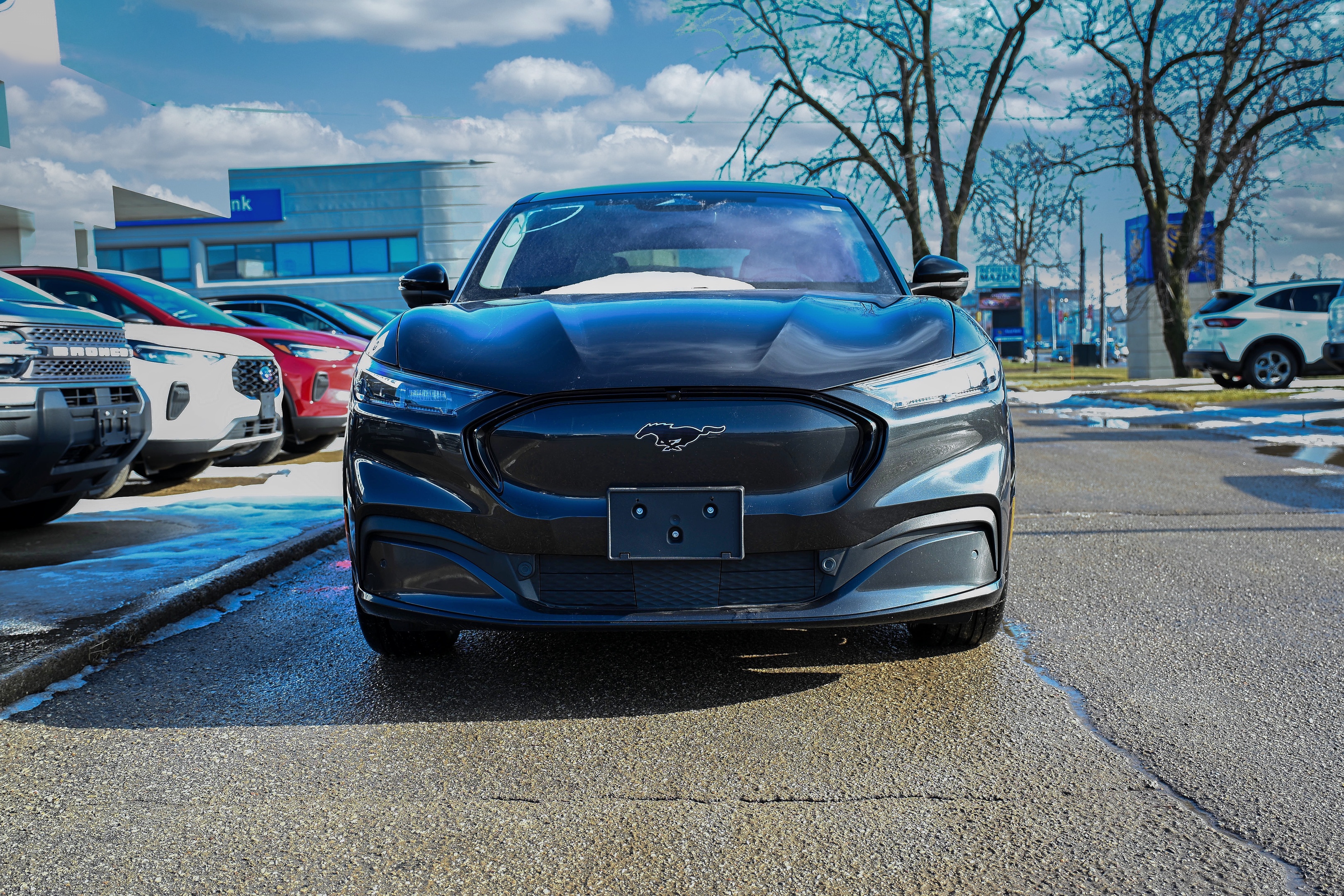 Ford Mustang Mach-E 2022