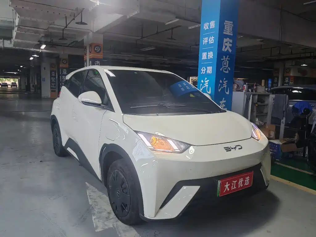 BYD Seagull 2024