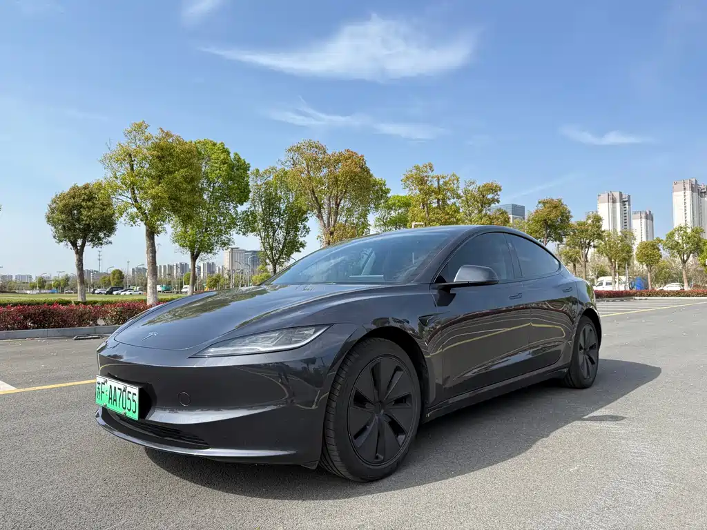 Tesla Model 3 2025