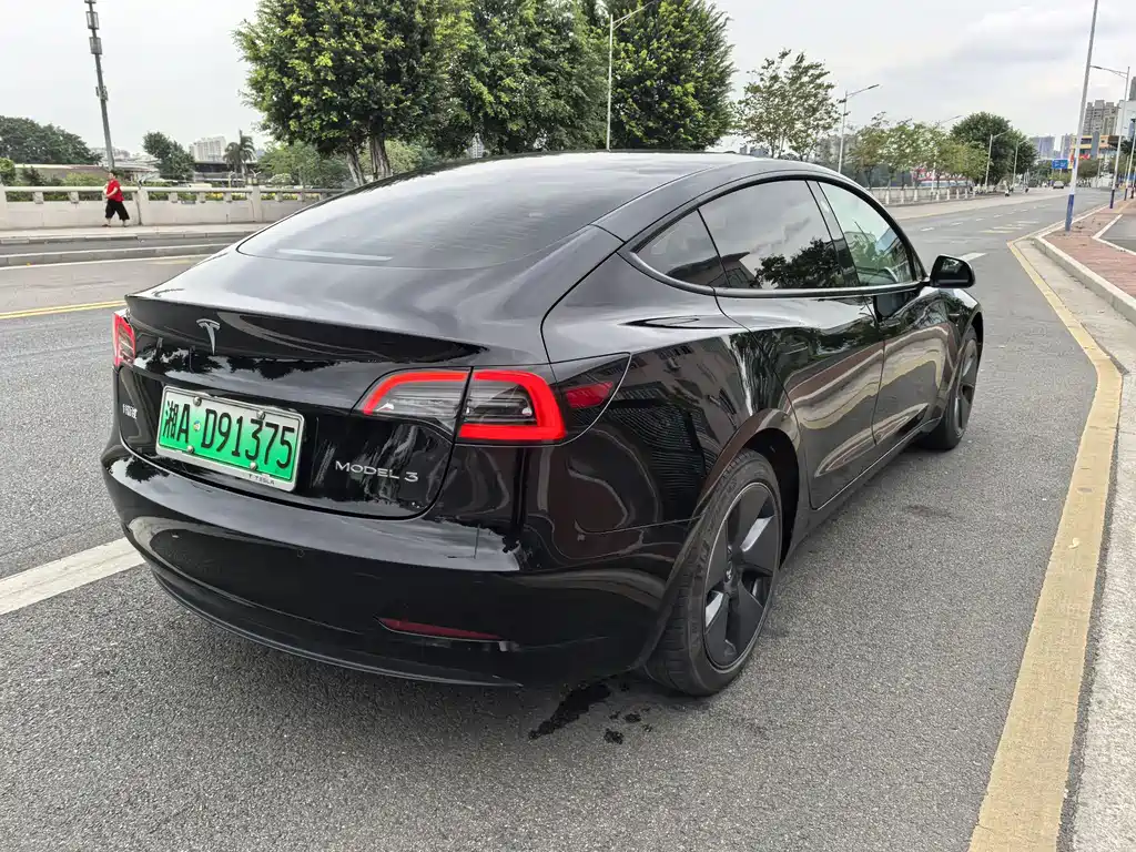 Tesla Model 3 2022