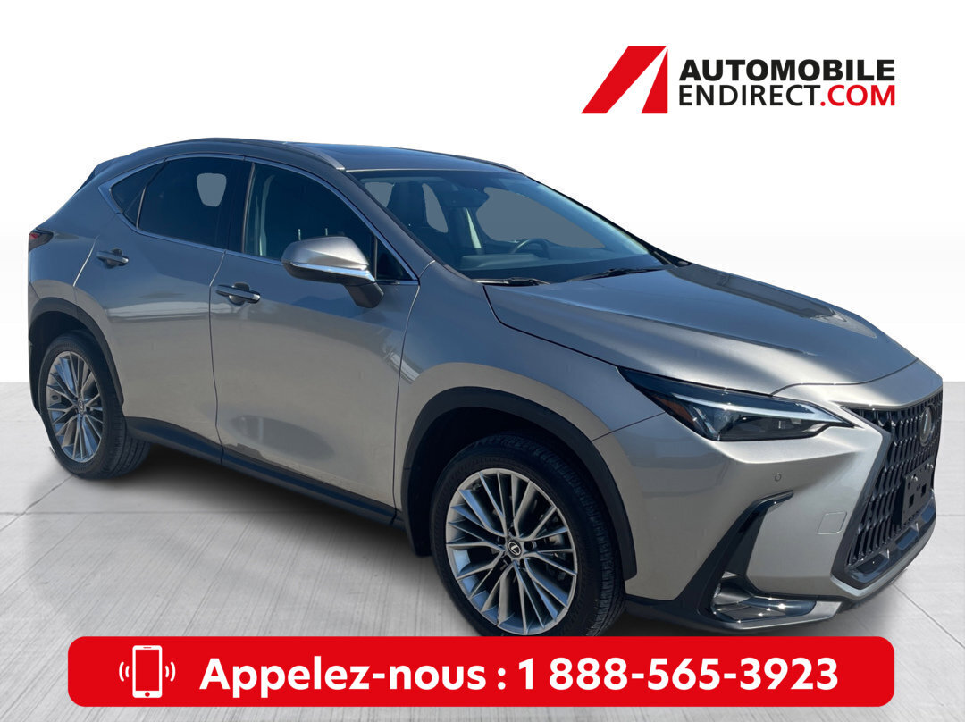 Lexus NX 2022