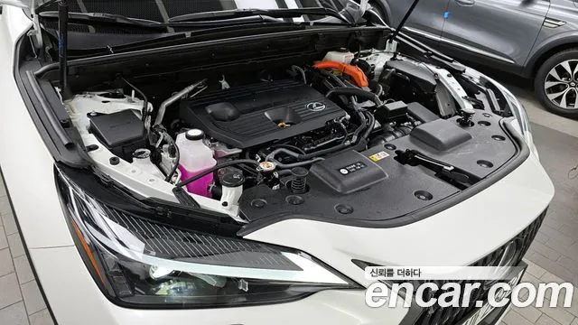 Lexus NX 2024