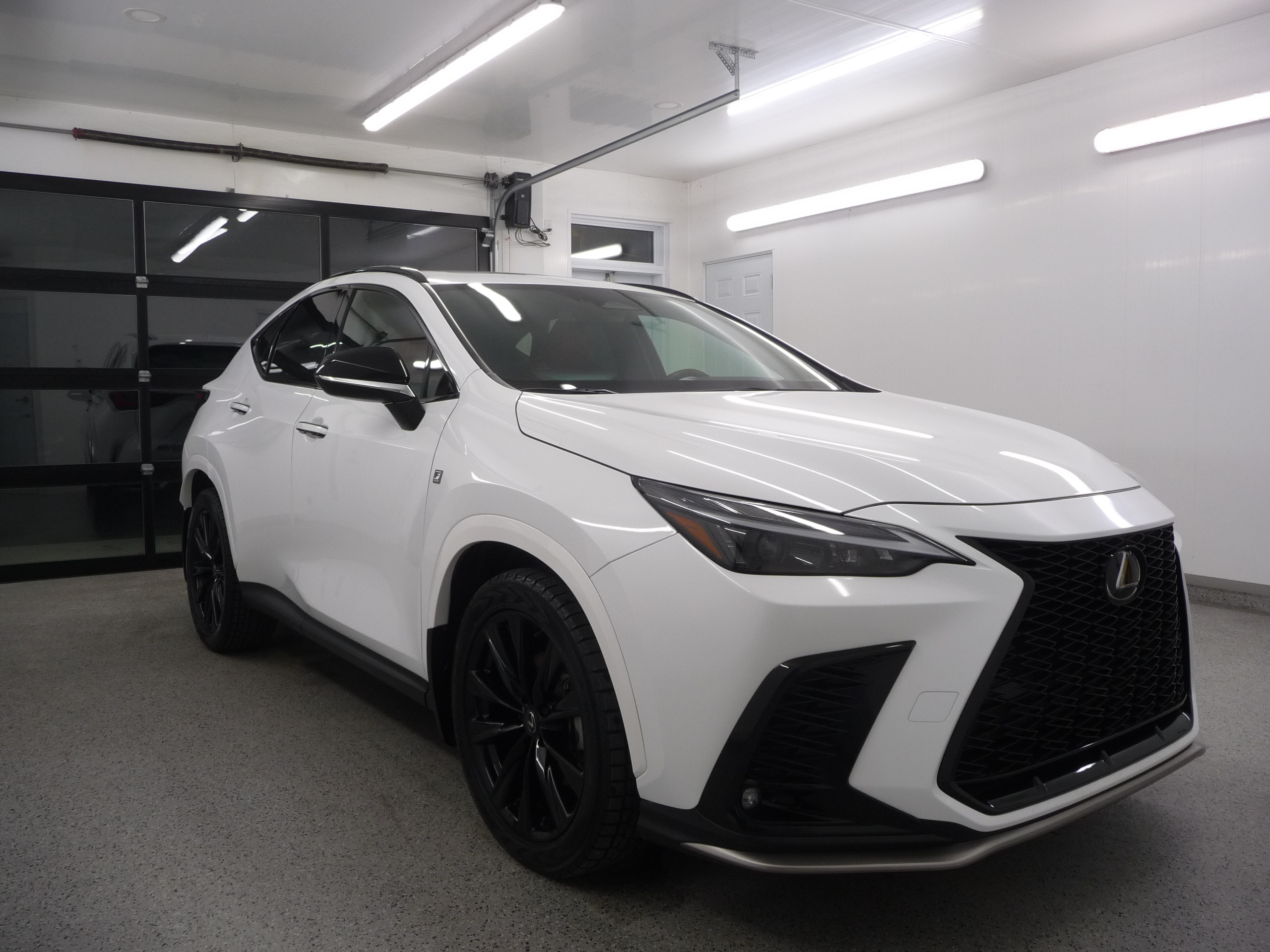 Lexus NX 2024