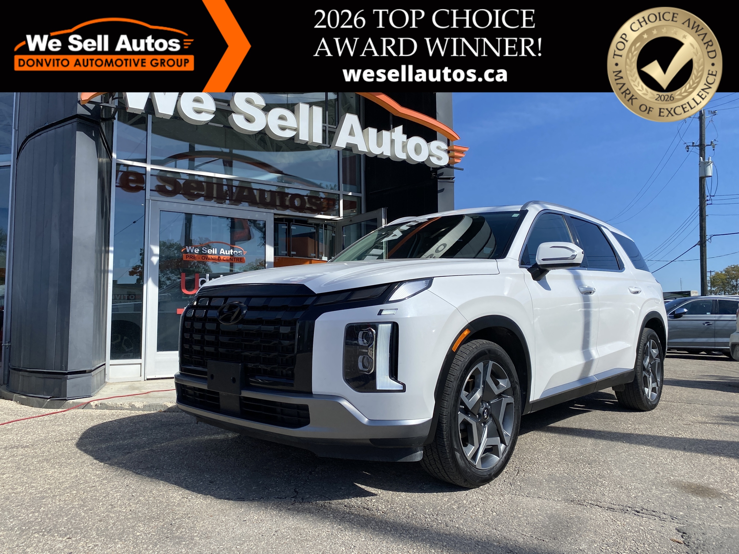 Hyundai Palisade 2024