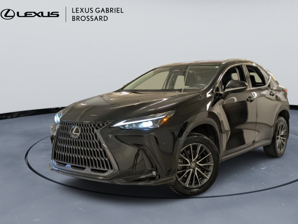 Lexus NX 2022