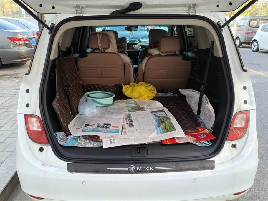 Buick GL6 2022