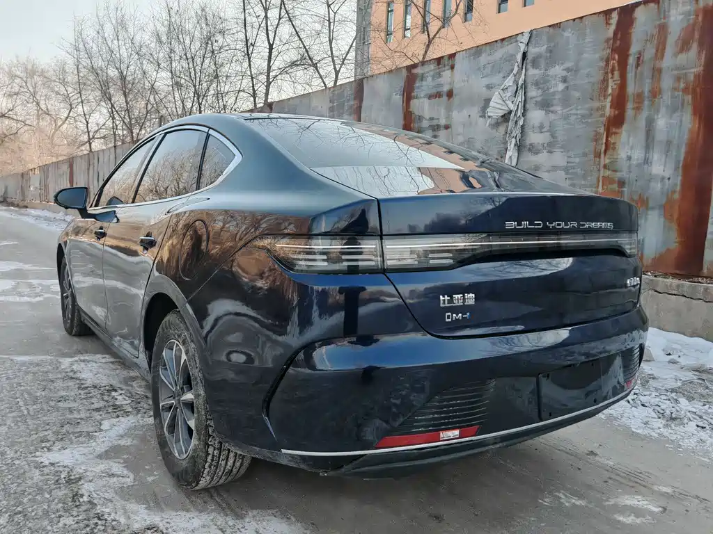 BYD Destroyer 05 2024