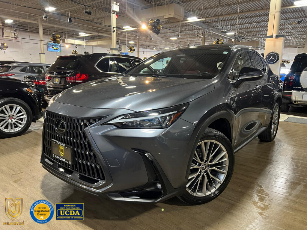Lexus NX 350 2022