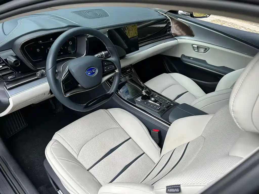 BYD E9 2021