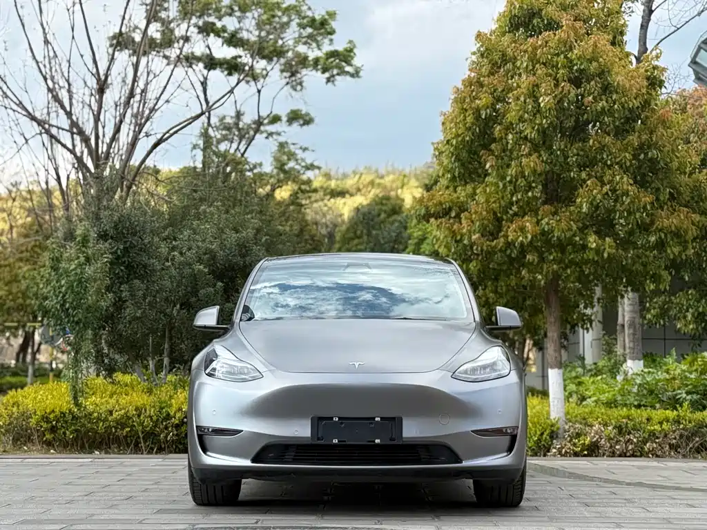 Tesla Model Y 2021