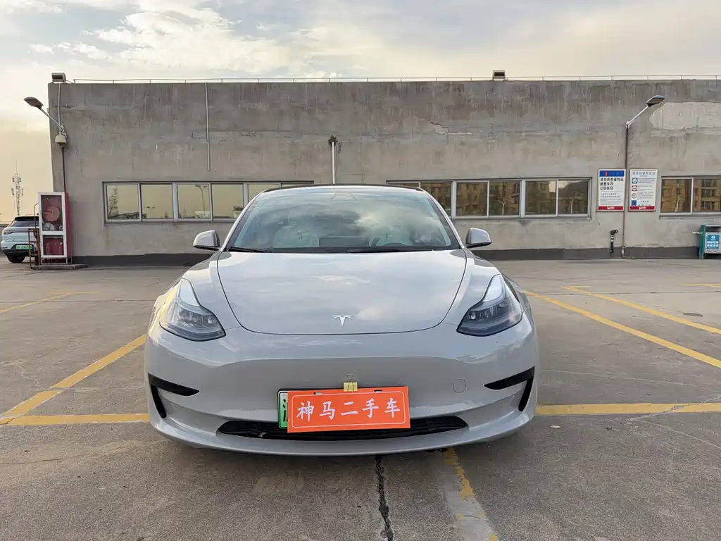 Tesla Model 3 2021