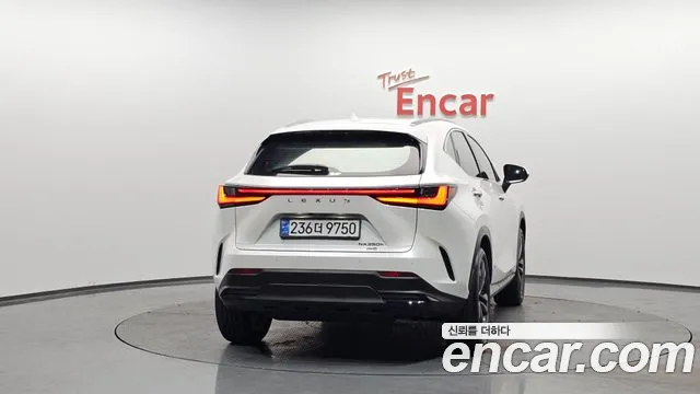 Lexus NX 2024