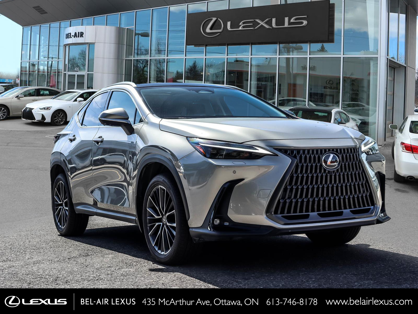 Lexus NX 350 2024